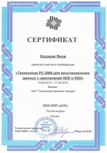 Сертификат от AceLab 2013